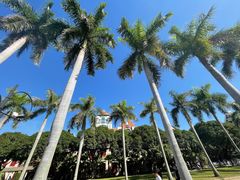 -厦门大学(思明校区)