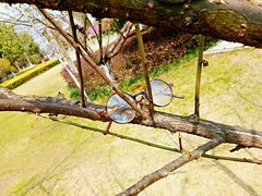 -杭州城北体育公园