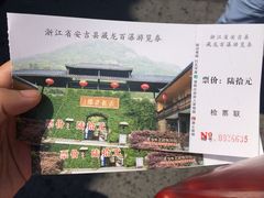 -藏龙百瀑风景区