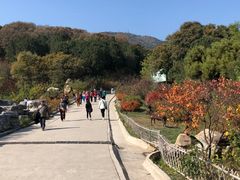 -北京西山国家森林公园