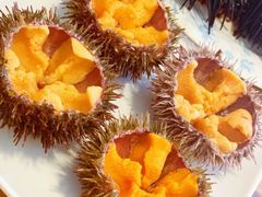 生海胆-海胆小馆(东北水饺·春柳店)