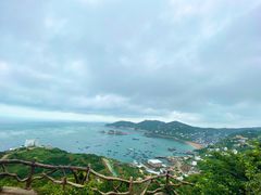 -枸杞岛