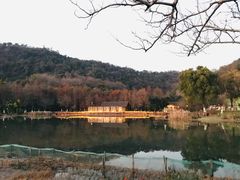 -八卦田遗址公园