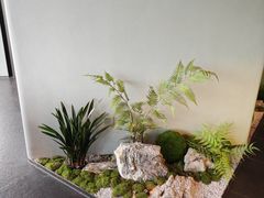 -茶人村·前滩江景雅宴(上海首店)