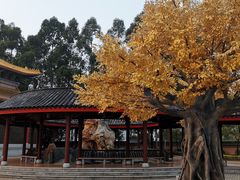 -广东圆玄道观