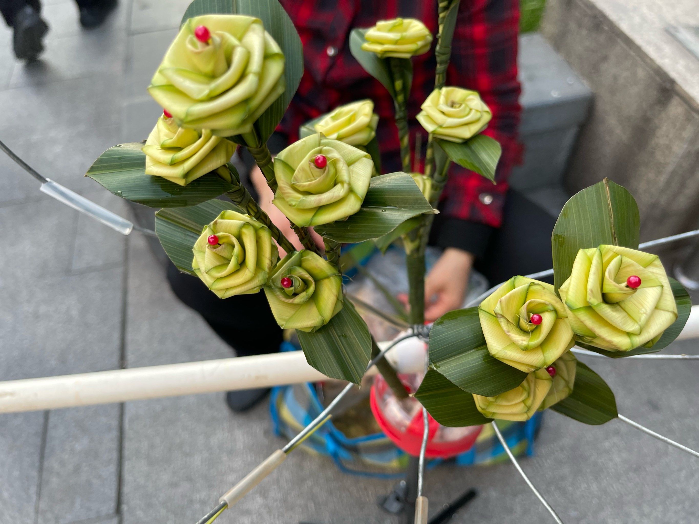 0元玩转这座城
#一束花的仪式感是用心的偏爱 
03芦苇叶做的