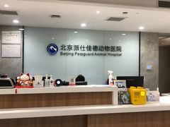 -北京派仕佳德动物医院·超导核磁·CT·神经科·骨科·内外科·急重症管理中心
