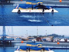 -秦皇岛乐岛海洋王国