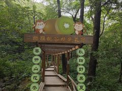 -大岭沟猕猴桃谷风景区