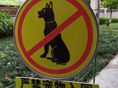 -龙头寺公园