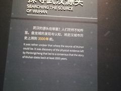 -盘龙城国家考古遗址公园