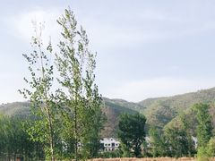 -白河湾生态旅游一条川