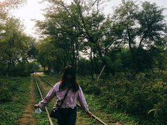 -永定河休闲森林公园