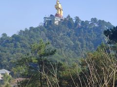 -南山植物园