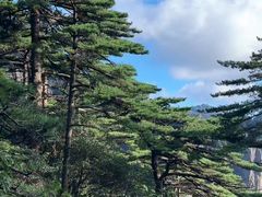 -黄山风景区