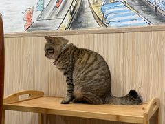 -官塘陈记鱼生·潮汕砂锅粥·牛肉火锅(潮枫路总店)