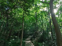 -赭山公园