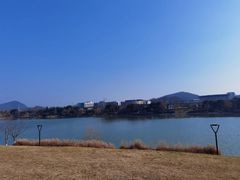 -羊山湖公园