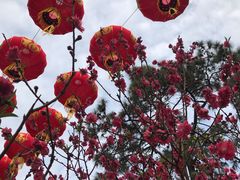 -广州莲花山旅游区