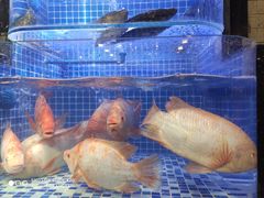 -六婶西关小厨(光塔路店)