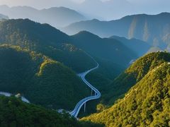 -南海湾森林生态园