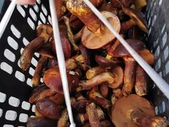 -北极村旅游风景区