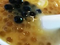 -港湾糖水