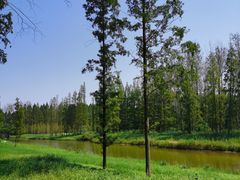 -黄海国家森林公园