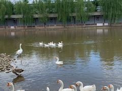 -河北村民俗体验园