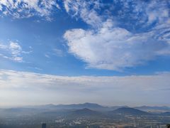 -树山生态村