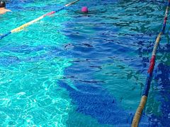 -威蒂斯国际健身游泳会所(东莞庄路店)