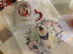 -Husky Go! 哈士奇体验馆·宠物咖啡厅狗咖