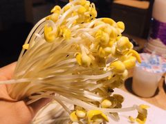 -老版火锅(半坡店)