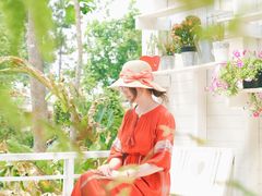 -黄色小屋