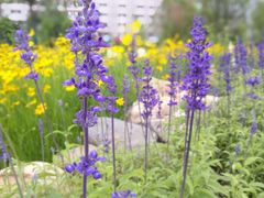 -湖南工业大学(主校区（河西校区）)