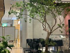 -大神太神·铁板烧(七宝领展广场店)