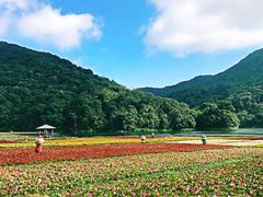 -广州市石门国家森林公园