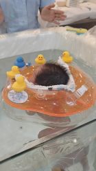 -恒悦贝贝月子会所(海珠店)