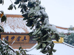 -西安大兴善寺