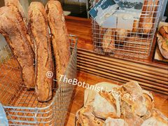 -Pain des Philosophes