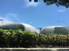 -老伴豆花(麦士威熟食中心店)