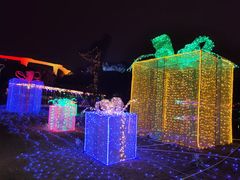 -飞凤山奥体公园