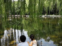 -玲珑塔公园