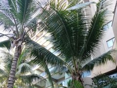 -三亚湾海居铂尔曼度假酒店