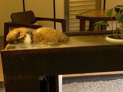 -常乐·对症推拿(来福士第43分店)