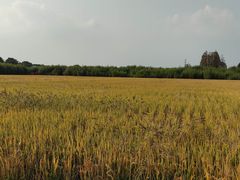 -嘉北郊野公园