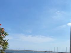 -碧海金沙