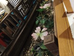 -老外婆(吾悦广场店)