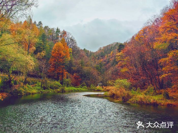 洛阳白云山景区图片