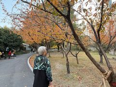 -苏州河梦清园环保主题公园